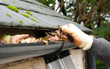 gutter cleaning Bushbury