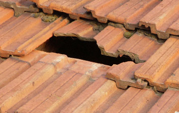 roof repair Bushbury